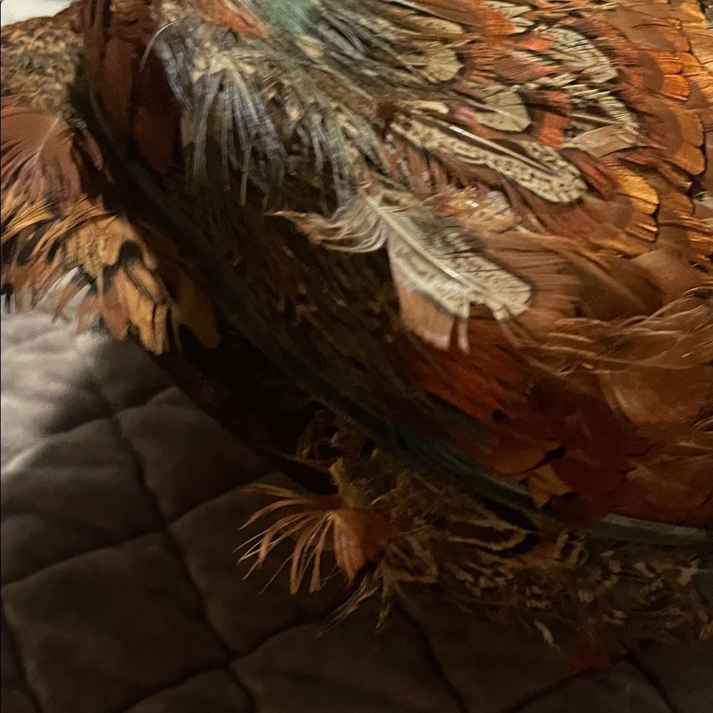 Feather Hat - Picture 7 of 15